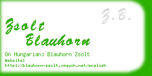 zsolt blauhorn business card